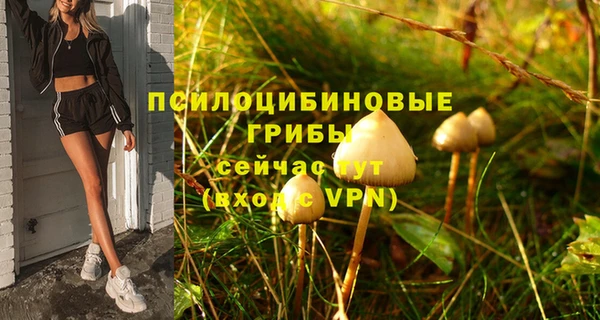 мефедрон Зеленодольск