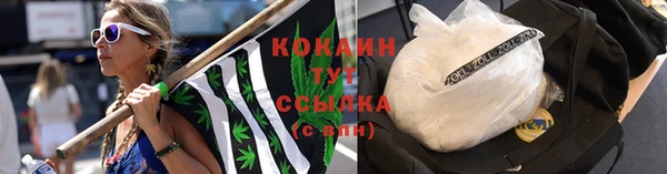 гашик Зерноград