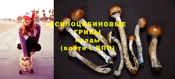 стафф Зеленокумск