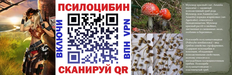 Купить  Полярный  Псилоцибиновые грибы Psilocybine cubensis 